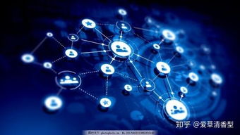 互联网小白转行自媒体 从零开始探索互联网数据服务之路